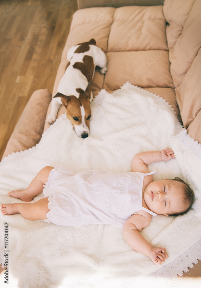 Jack russel terrier dog and cute 3 month baby sleeping together on the bed. Jack russel terrier dog and cute 3 month baby sleeping together on the bed.