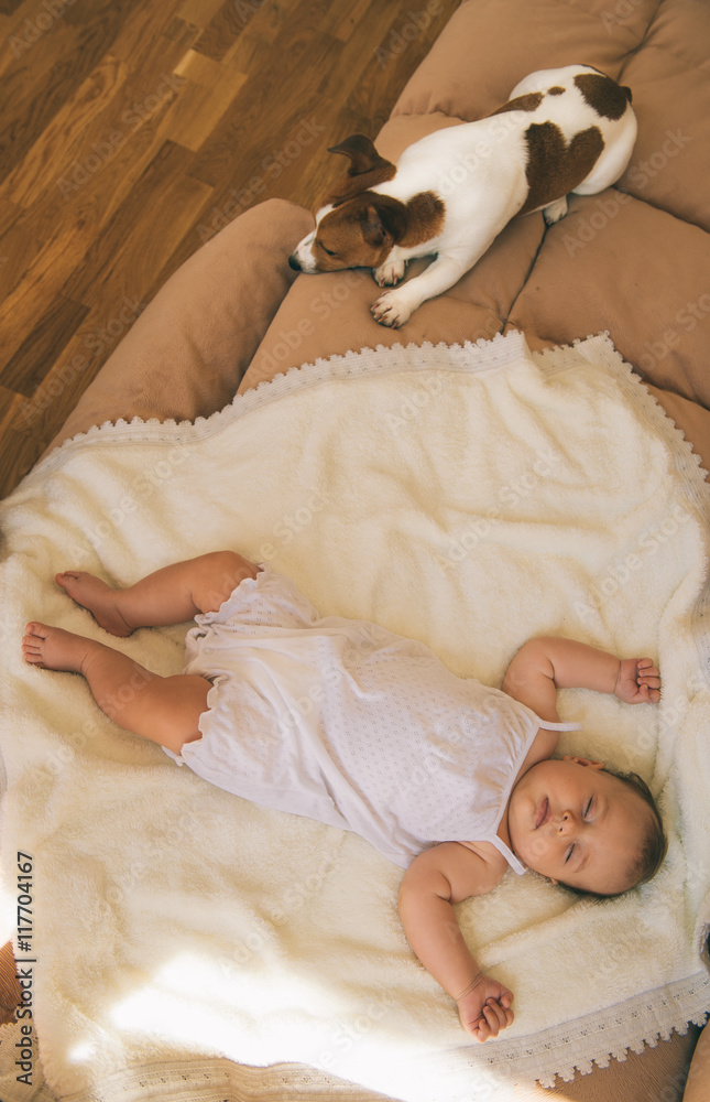 Jack russel terrier dog and cute 3 month baby sleeping together on the bed. Jack russel terrier dog and cute 3 month baby sleeping together on the bed.