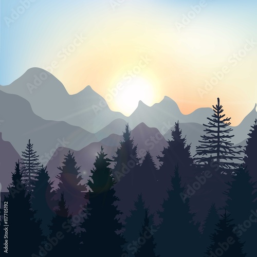 Sunrise landscape in the forest