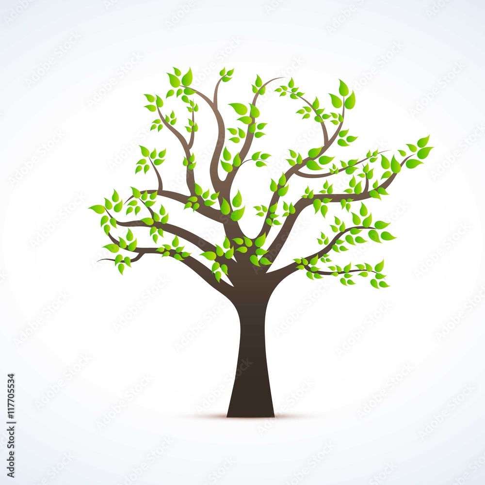 Tree with green leaves Tree with green leaves