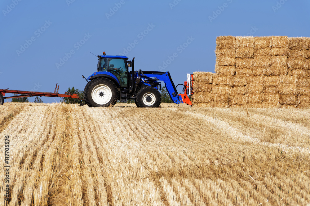 Naklejka premium Récolte de paille