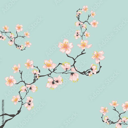 Cherry blossoms illustration