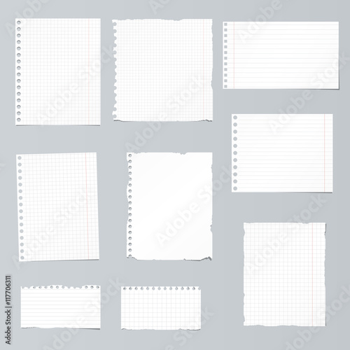 Set of ripped white, ruled, math notebook paper are stuck on gray background