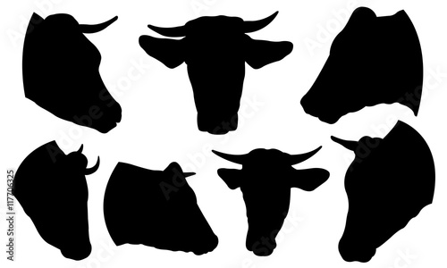 set of cow heads