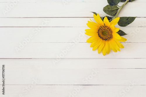 Background with sunflower on a white painted wooden boards. Spac