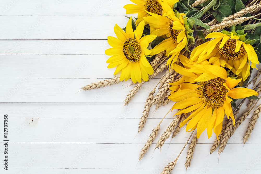 Obraz premium Background with a bouquet of sunflowers and wheat ears on a whit