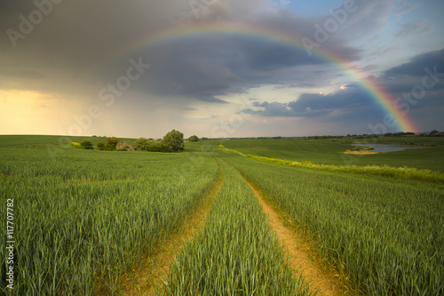 colorful rainbow after the storm passing over a field of grain