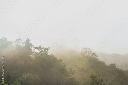 Beautiful fog on mountains at dawn time.