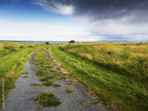 Path in a field.