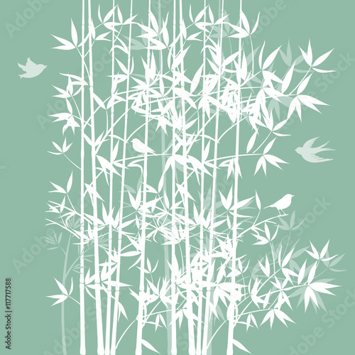 Fototapeta Naklejka Na Ścianę i Meble -  Bambus mit Vögel