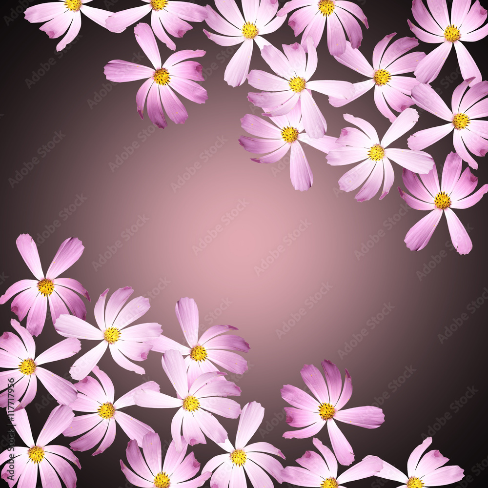 Beautiful summer background of delicate pink flowers 