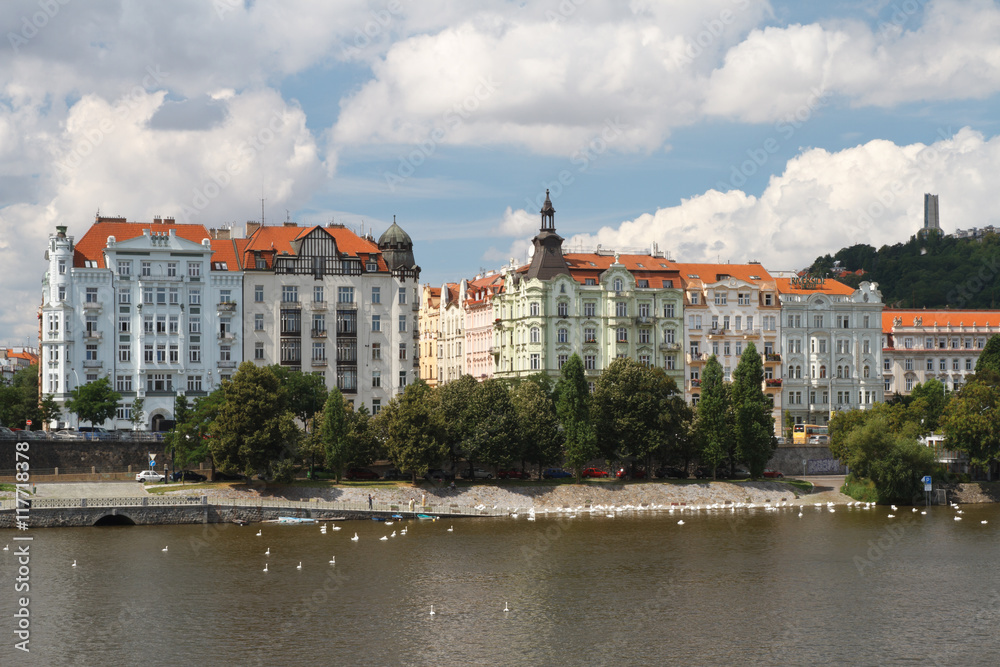 Fototapeta premium Embankment Prague district Smíchov, Swans on the Vltava River 