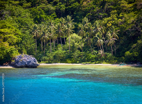 Blue bay and palm trees. El Nido  Palawan island  Philippines