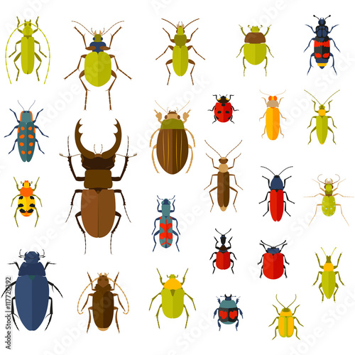 Flat insect set isolated on the white. Vector illustration. © klerik78