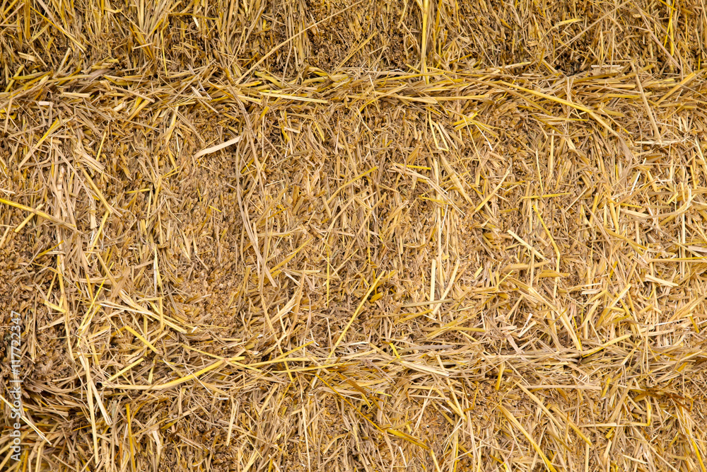 Piles of straw, detail of piled straw for animal feed Piles of straw, detail of piled straw for animal feed
