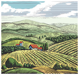Leinwandbilder Khaki Rural landscape in graphic style, hand drawn and converted to vector Illustration.  © Rustic