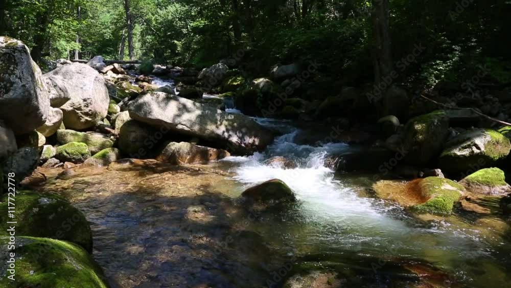 Creek in the wild mountainous area in summer. (With Stereo Sound) Creek in the wild mountainous area in summer. (With Stereo Sound)