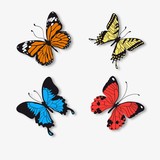 Realistic butterflies