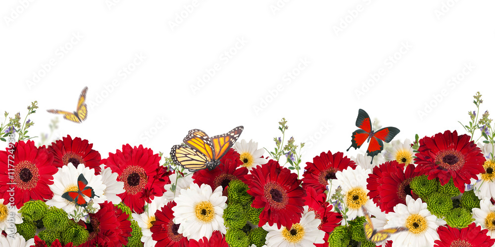 Beautiful daisies and butterfly, flower, floral background - obrazy, fototapety, plakaty 