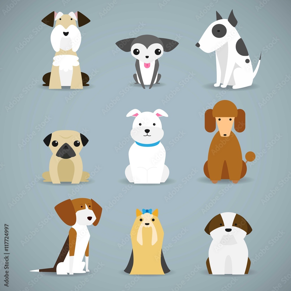 Obraz premium Dog breeds collection