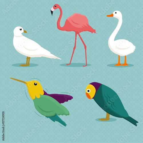 Bird breeds