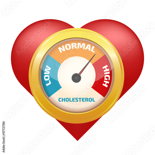 Cholesterol Meter vector