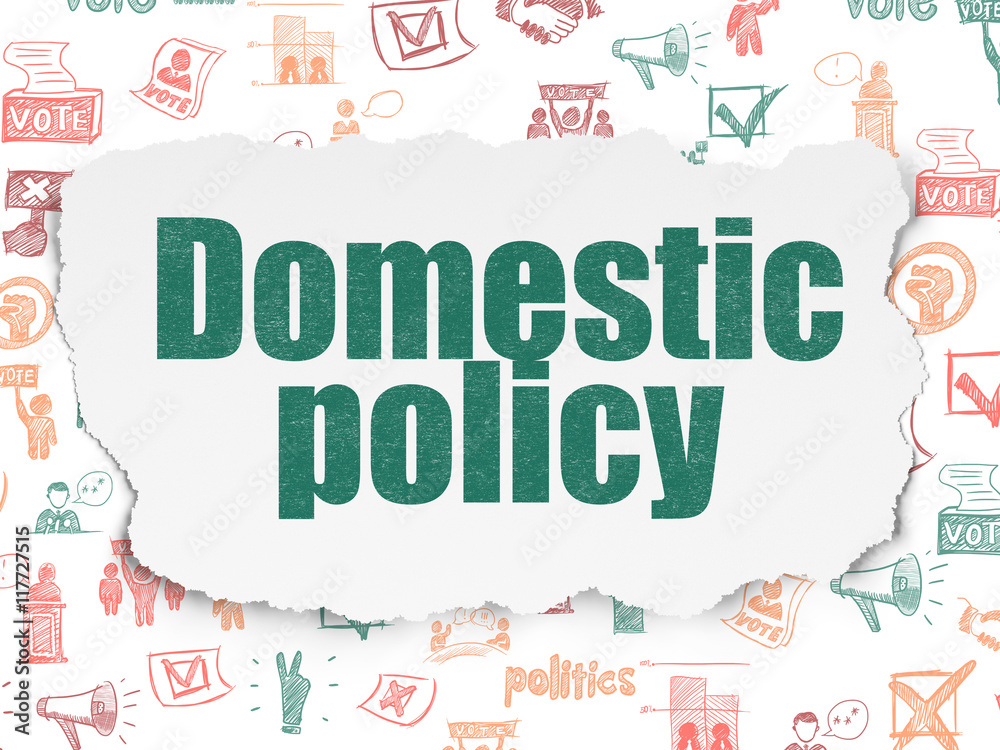 Politics concept: Domestic Policy on Torn Paper background