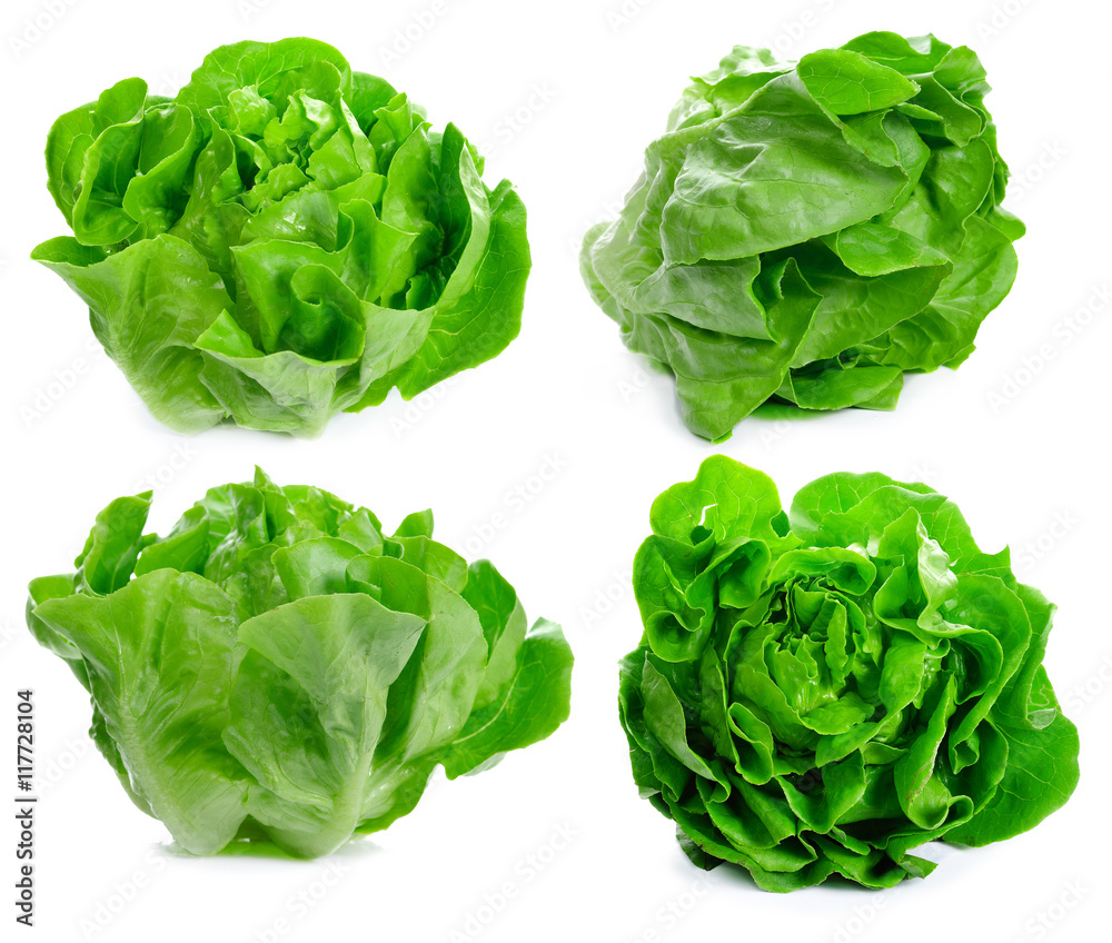 Lettuce Salad Isolated On White Lettuce Salad Isolated On White