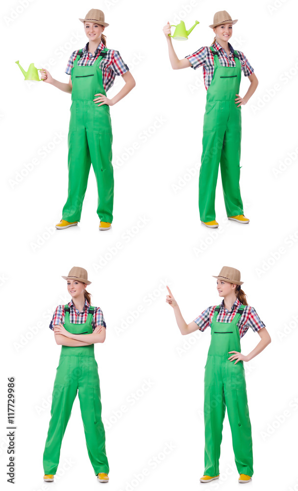Fototapeta premium Collage of woman watering plants isolated on white