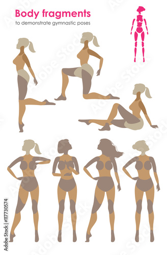 Fragments of body for demonstrating gymnastic poses.Vector silho