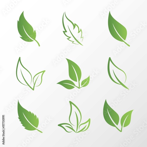 Green leaves