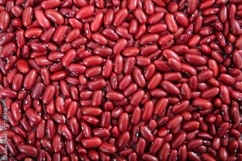 Raw kidney beans full background