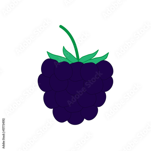 Sign flat blackberry 26.08