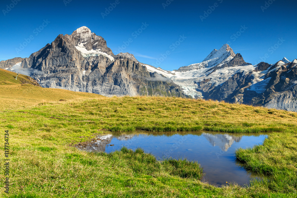 Beautiful alpine tarn,Grindelwald,Switzerland,Europe