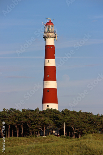 Leuchtturm auf Ameland zwischen B  umen 