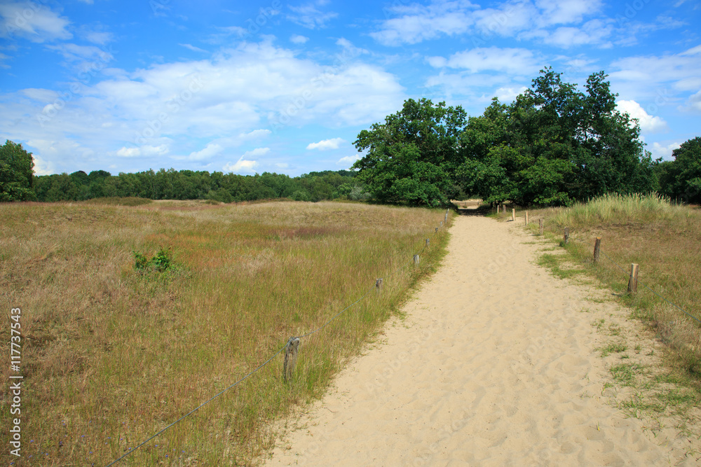 Dünenlandschaft-Naturschutzgebiet Boberger Niederung Dünenlandschaft-Naturschutzgebiet Boberger Niederung