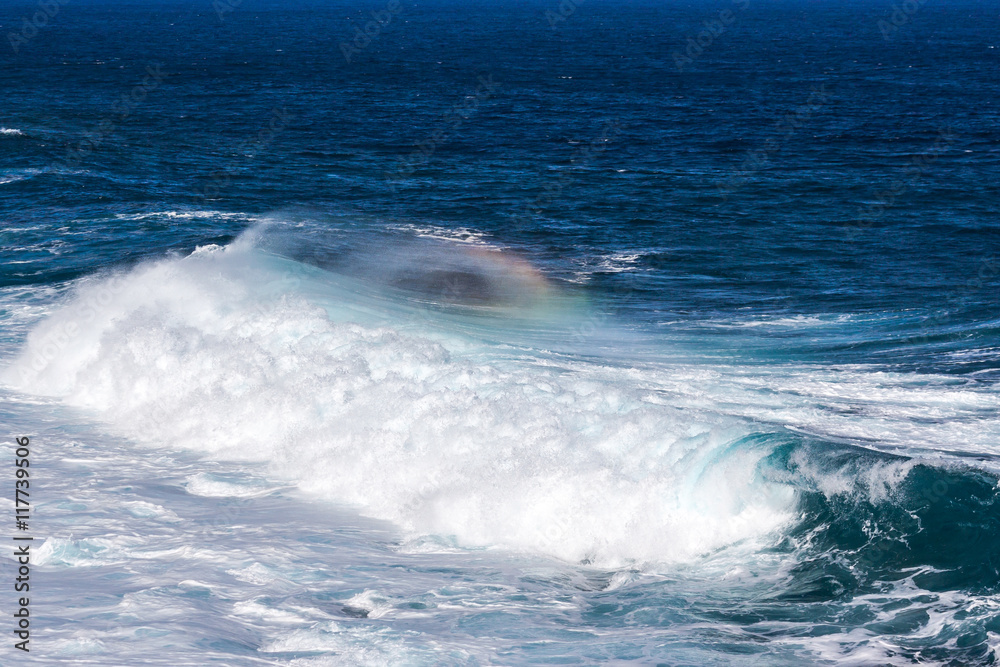 Fototapeta premium Vague Océan Indien