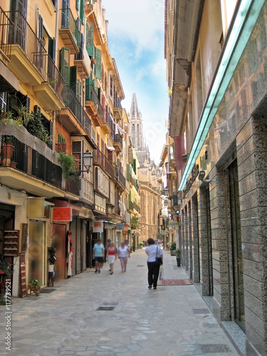 Fotografija Street in Palma de Majorca, Spain - Cathedral La Seu in background