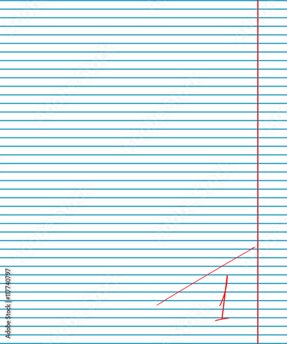 Vector exercise book