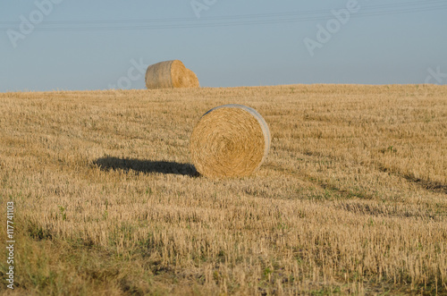 Campo di rotoballe  photo