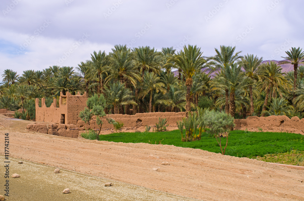 Fototapeta premium Oasis in Morocco