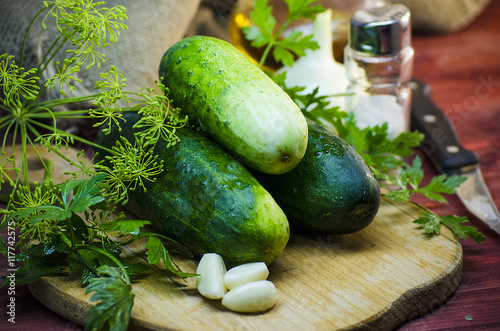 cucumbers for preserving and salting