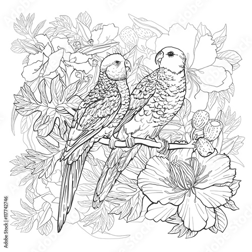 Linear drawing of two parrots and exotic flowers