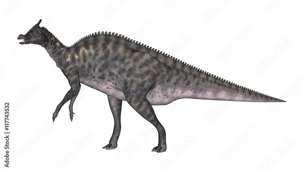 3D Rendering Dinosaur Saurolophus on White 3D Rendering Dinosaur Saurolophus on White