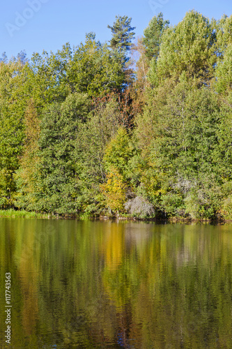 Autumn colors in the lake