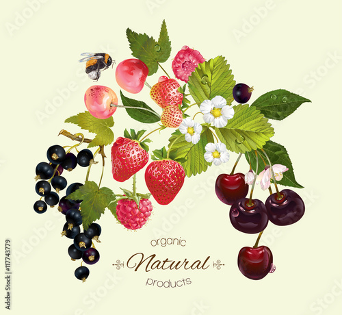 Berry mix composition