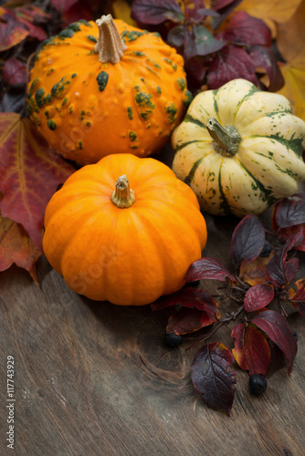 seasonal pumpkin with autumn leaves  vertical  top view