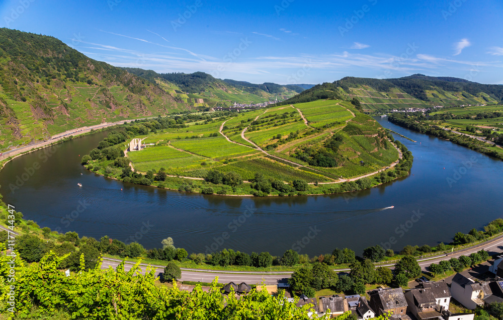 Moselschleife bei Bremm im Sommer Panorama.