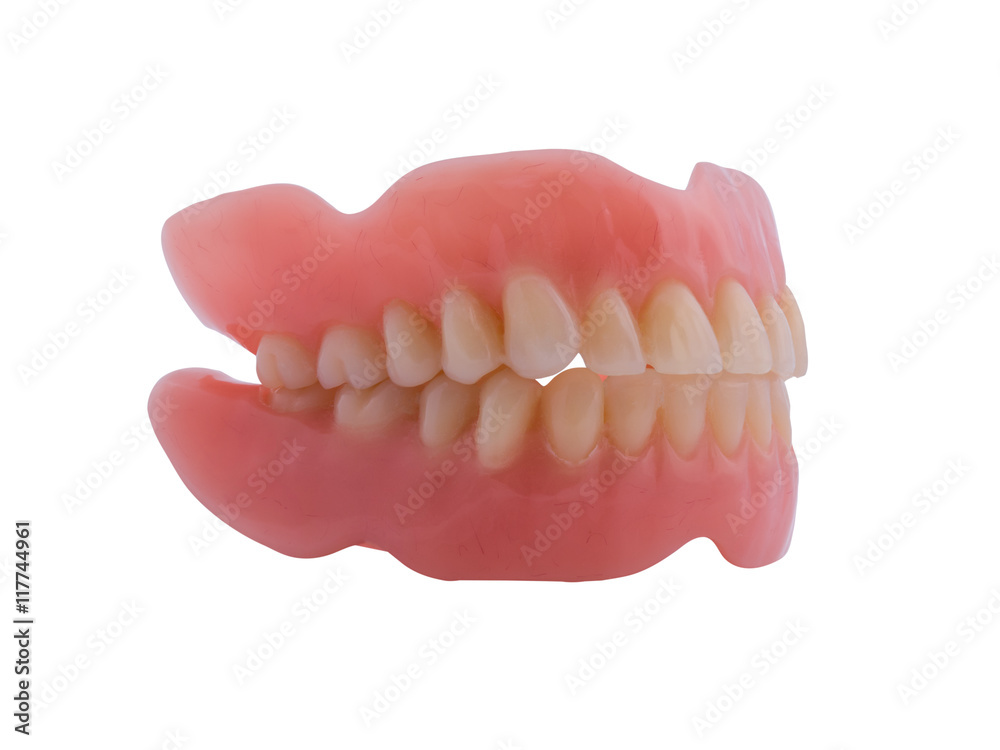 Obraz premium plastic teeth on isolate white background. (clipping path)