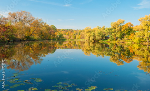 Autumn forest on the lake